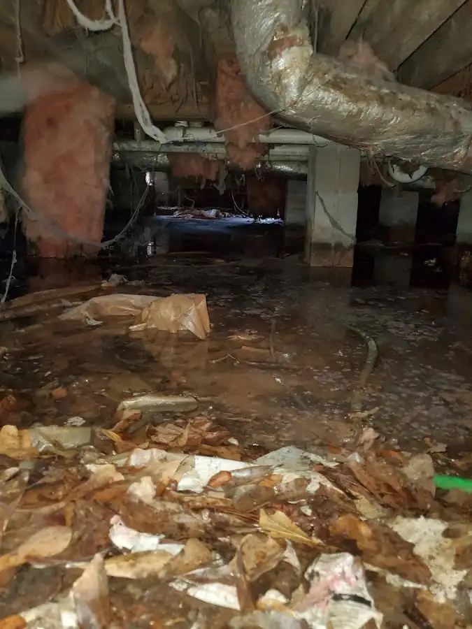Crawl space flood assessment for Commercial Water Damage Restoration in Cortez